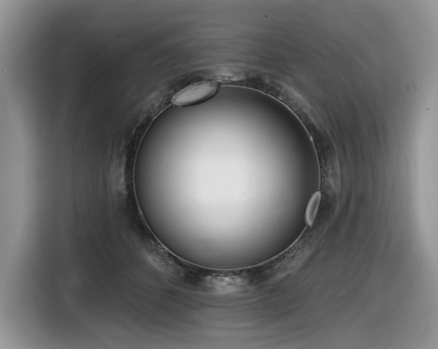 X0000116430512200912081527