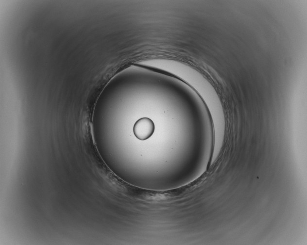 X0000116430513200912081527
