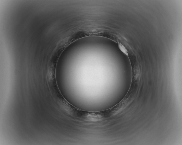X0000116430515200912081527