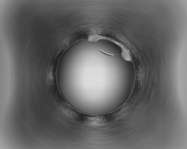 X0000116430516200912081527