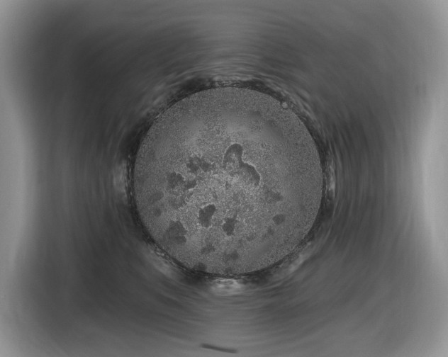 X0000116430519200912081527