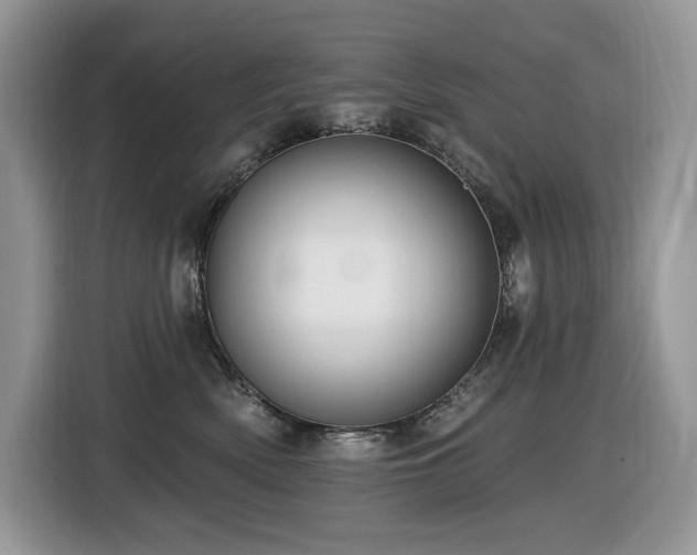 X0000116430522200912081527