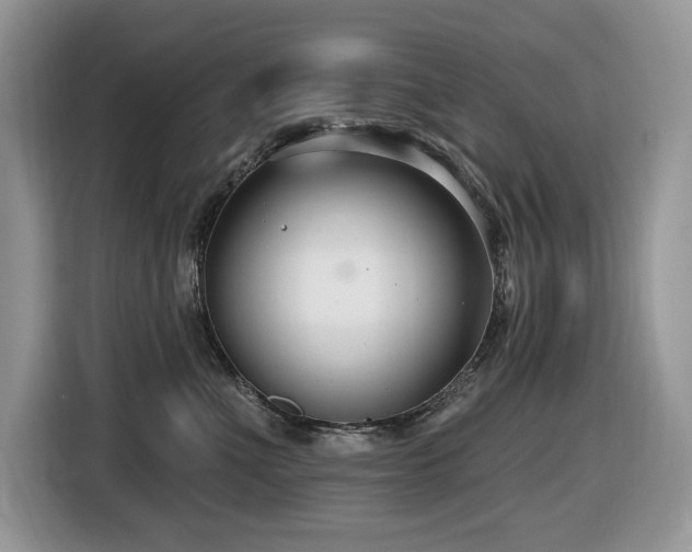 X0000116430523200912081527