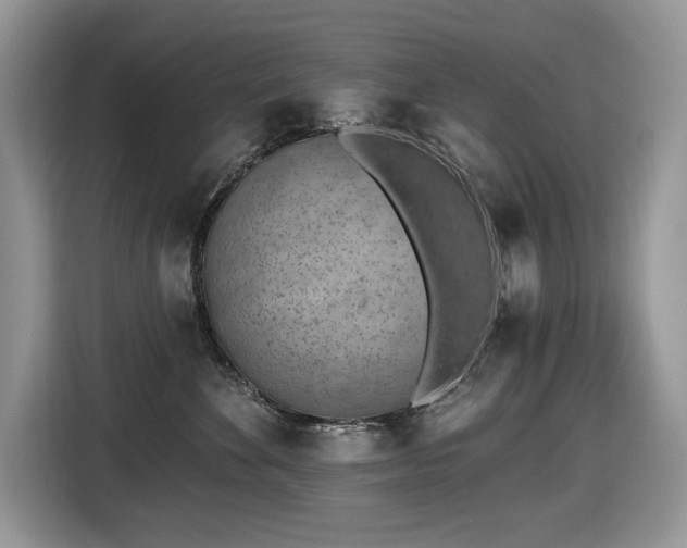 X0000116430524200912081527