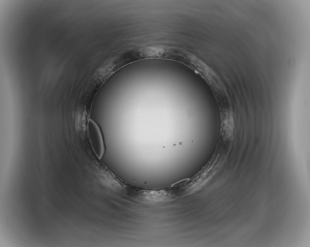 X0000116430525200912081527