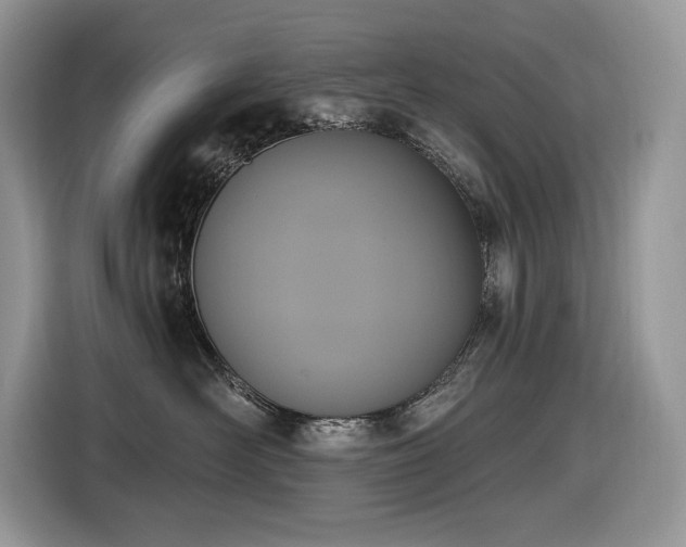 X0000116430526200912081527