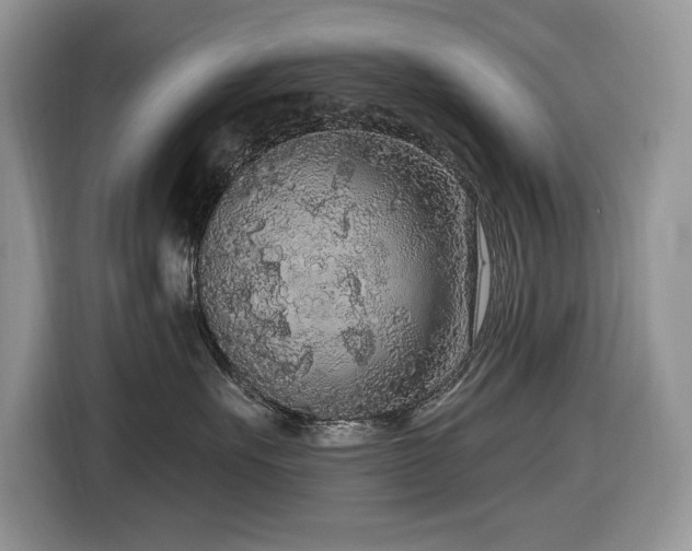 X0000116430527200912081527