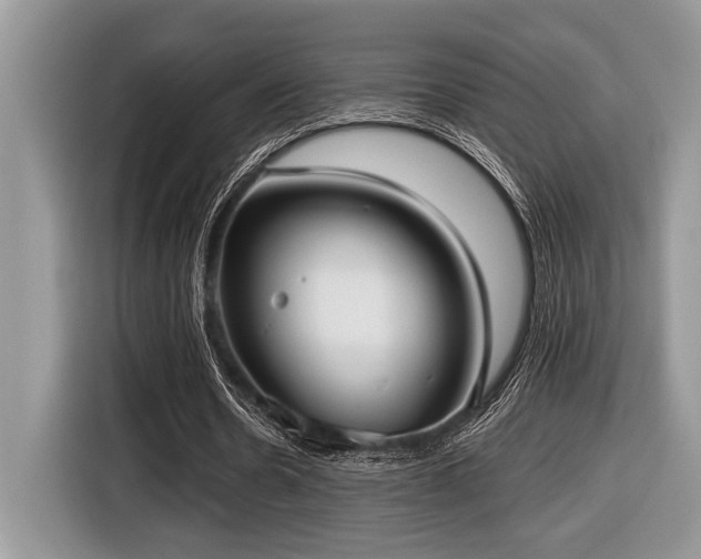 X0000116430530200912081526