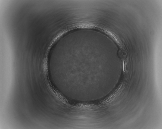 X0000116430531200912081526