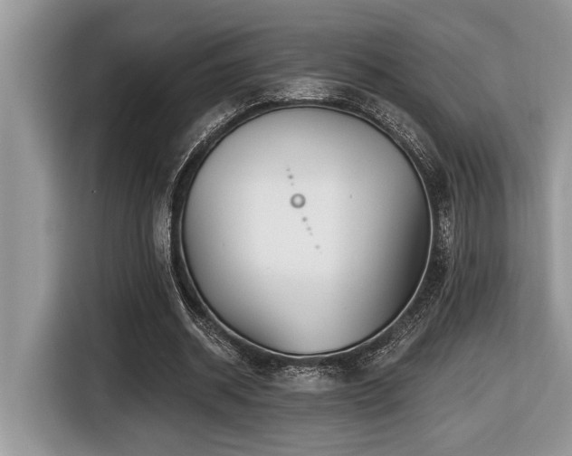 X0000116430534200912081526