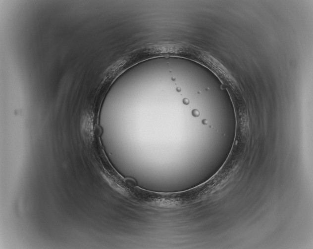 X0000116430537200912081526
