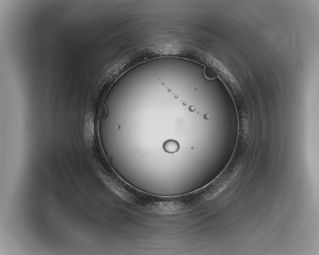 X0000116430541200912081526