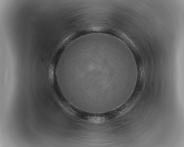 X0000116430542200912081526