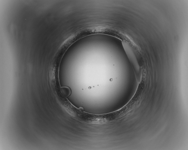 X0000116430543200912081526