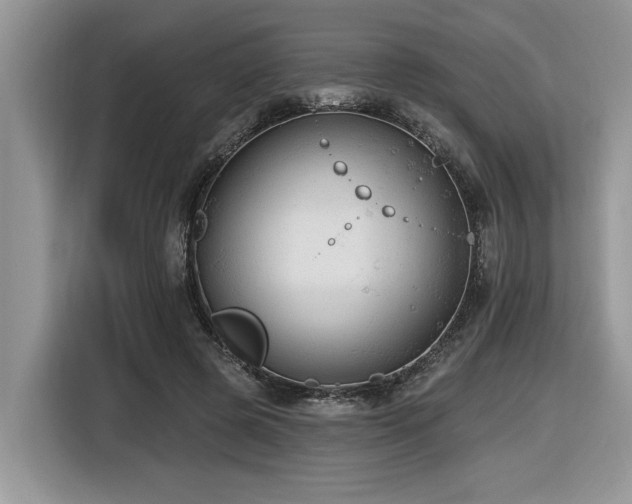 X0000116430545200912081526