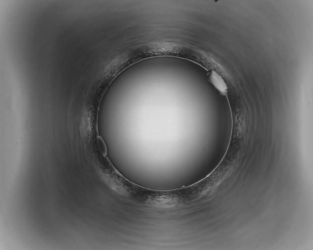 X0000116430546200912081526