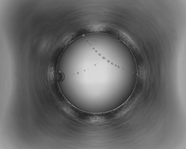 X0000116430549200912081526