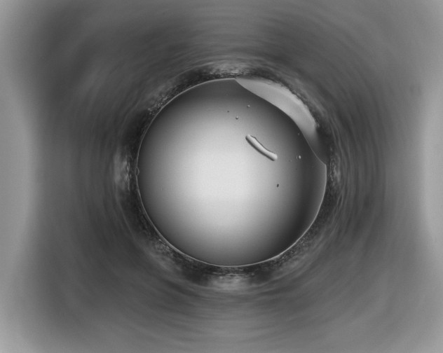 X0000116430551200912081526