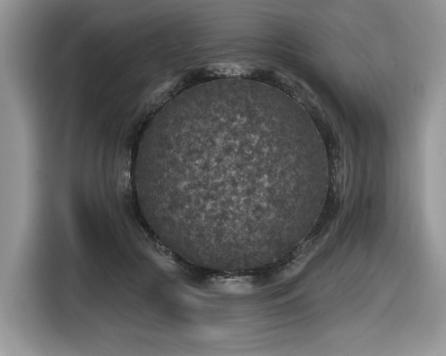X0000116430553200912081526