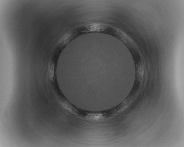 X0000116430554200912081526