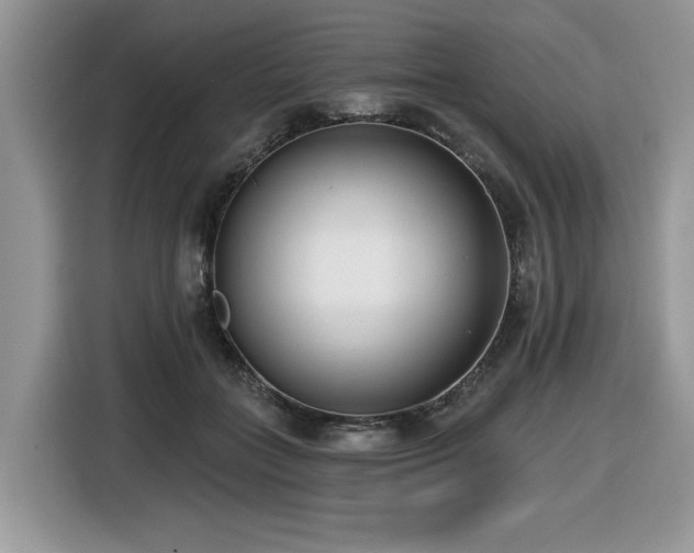 X0000116430555200912081526
