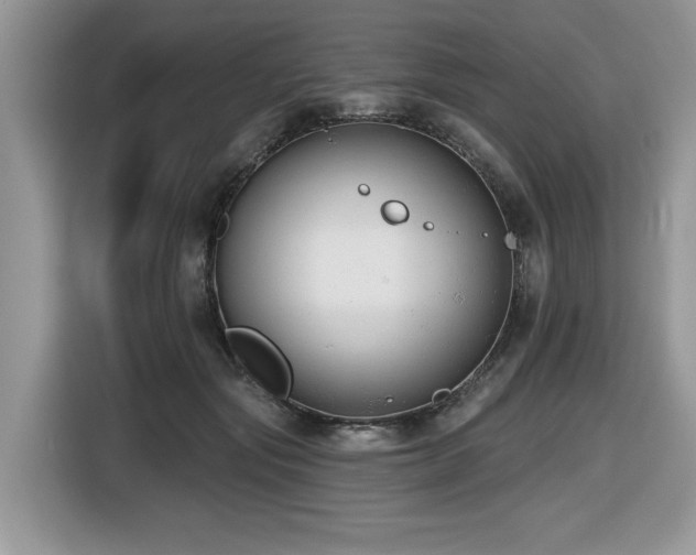X0000116430557200912081526