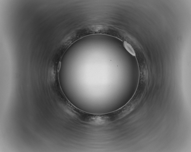 X0000116430558200912081526