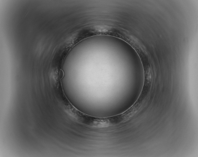 X0000116430559200912081526