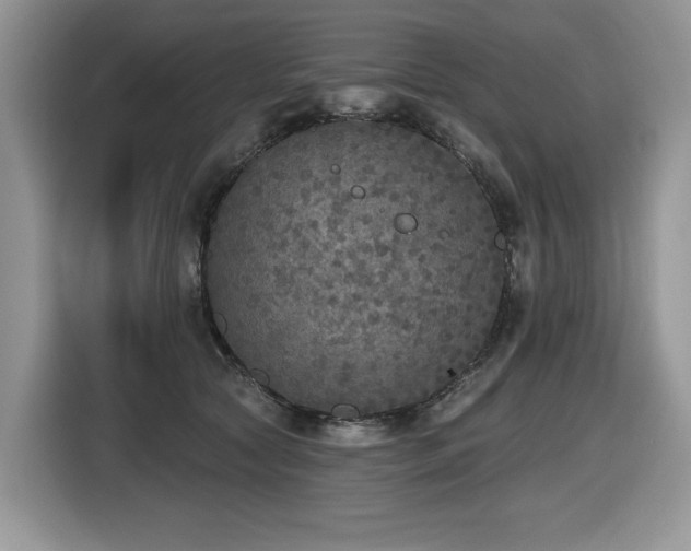 X0000116430561200912081526