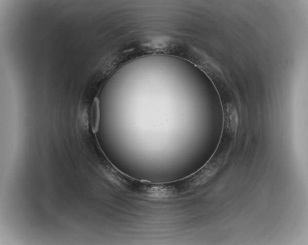 X0000116430562200912081526
