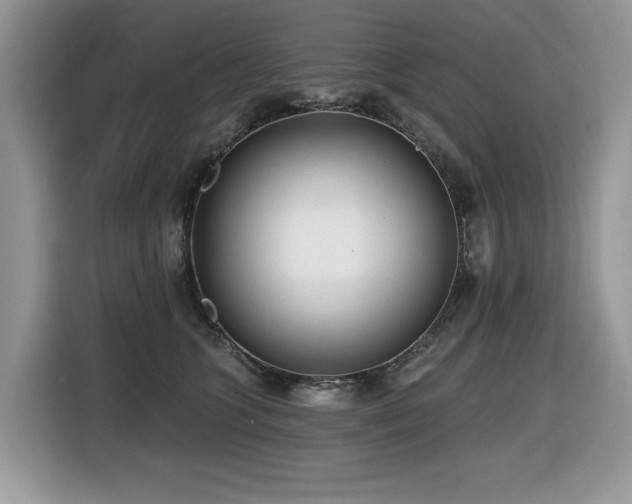 X0000116430563200912081526