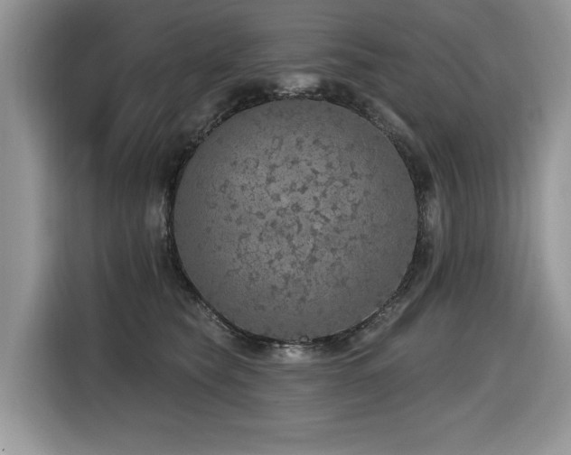 X0000116430565200912081526