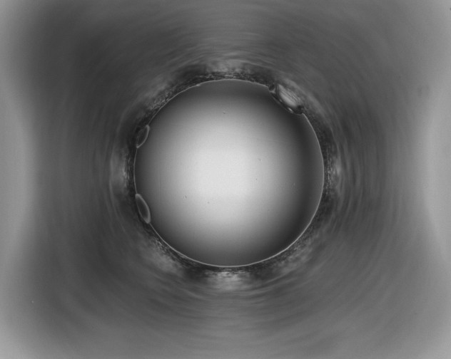 X0000116430566200912081526