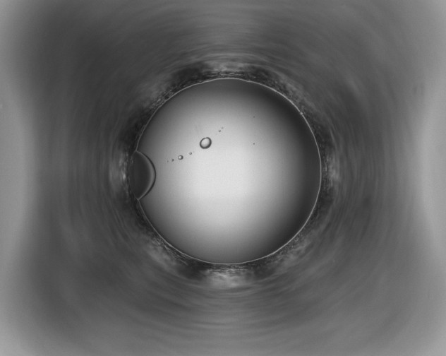 X0000116430567200912081526