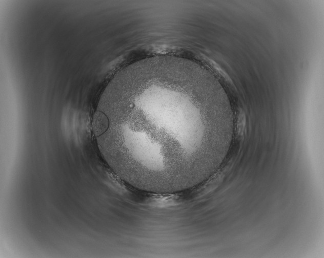 X0000116430569200912081526