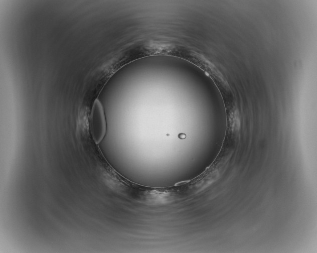 X0000116430570200912081526