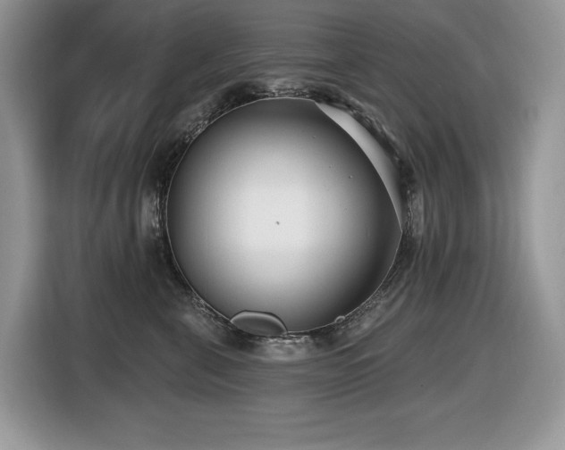 X0000116430571200912081526