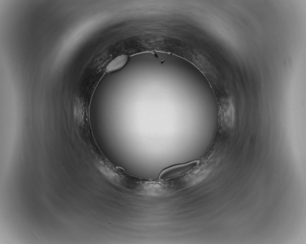 X0000116430574200912081526