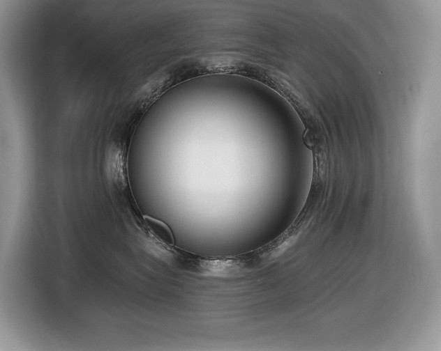 X0000116430575200912081527