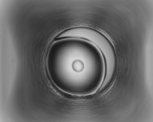 X0000116430577200912081526