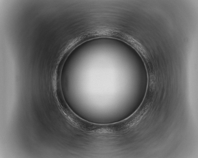 X0000116430578200912081526