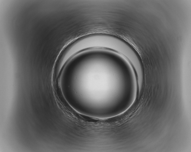 X0000116430579200912081526