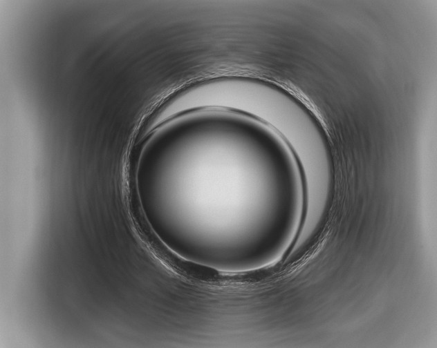 X0000116430581200912081526