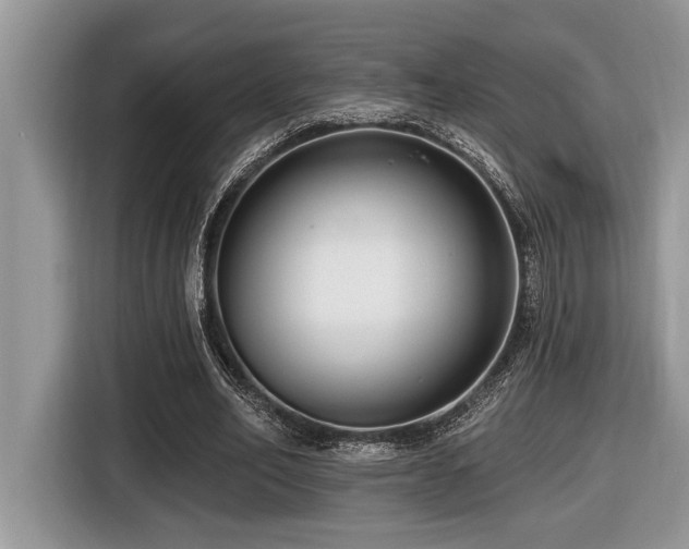 X0000116430582200912081526
