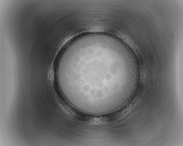 X0000116430584200912081526