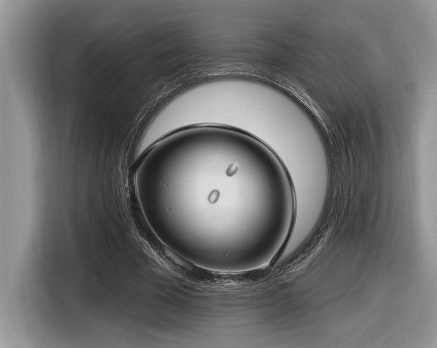 X0000116430585200912081526