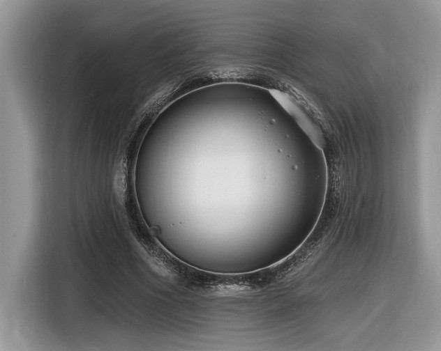 X0000116430586200912081526
