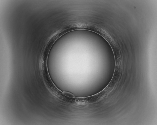 X0000116430587200912081526