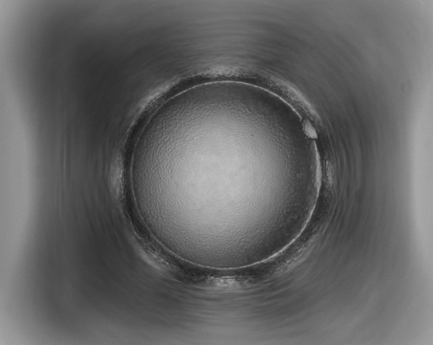 X0000116430588200912081526