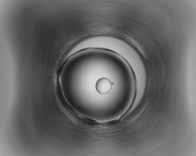 X0000116430589200912081526